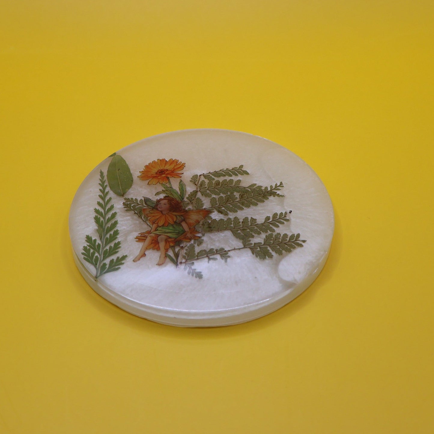 Coaster