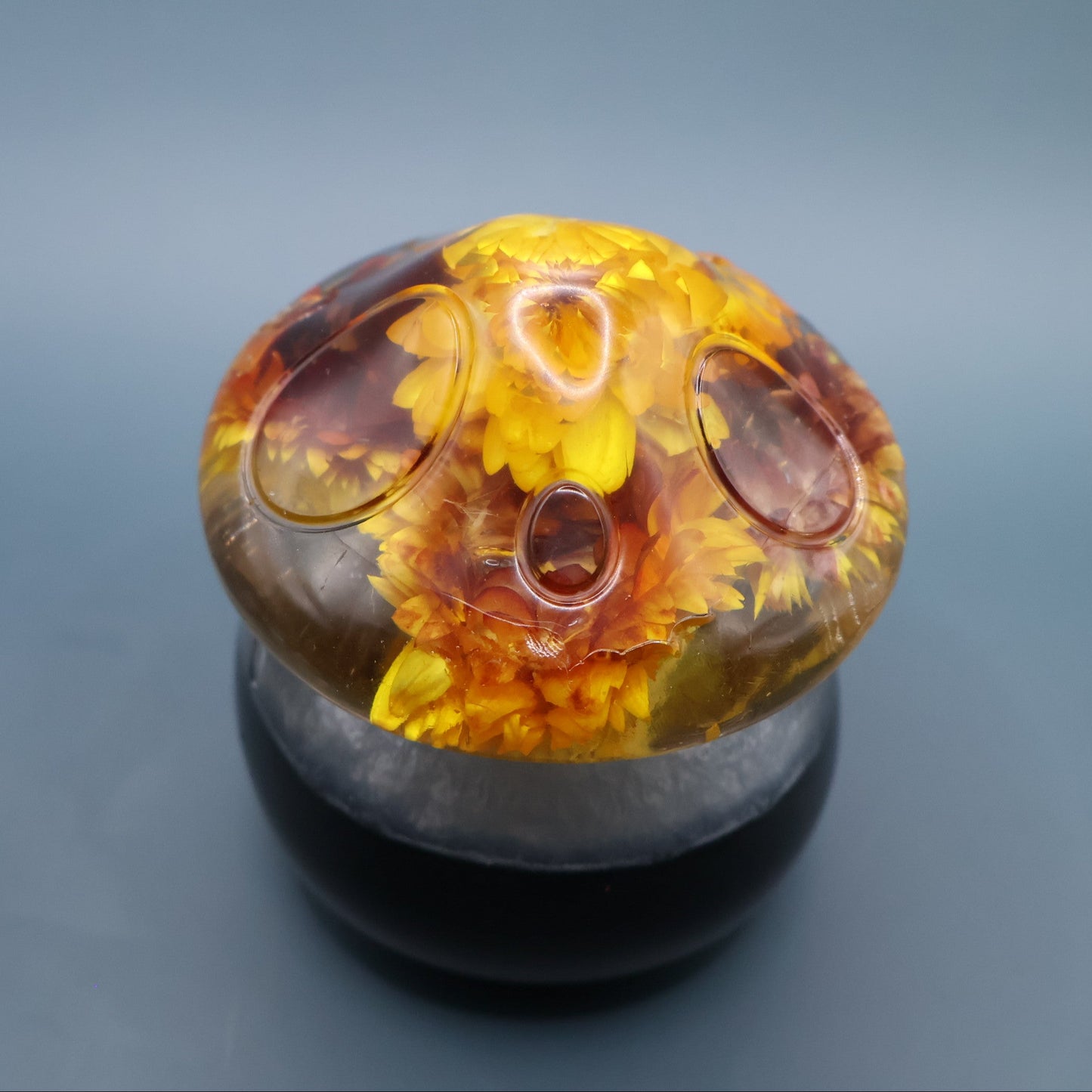 Multipurpose Mushroom