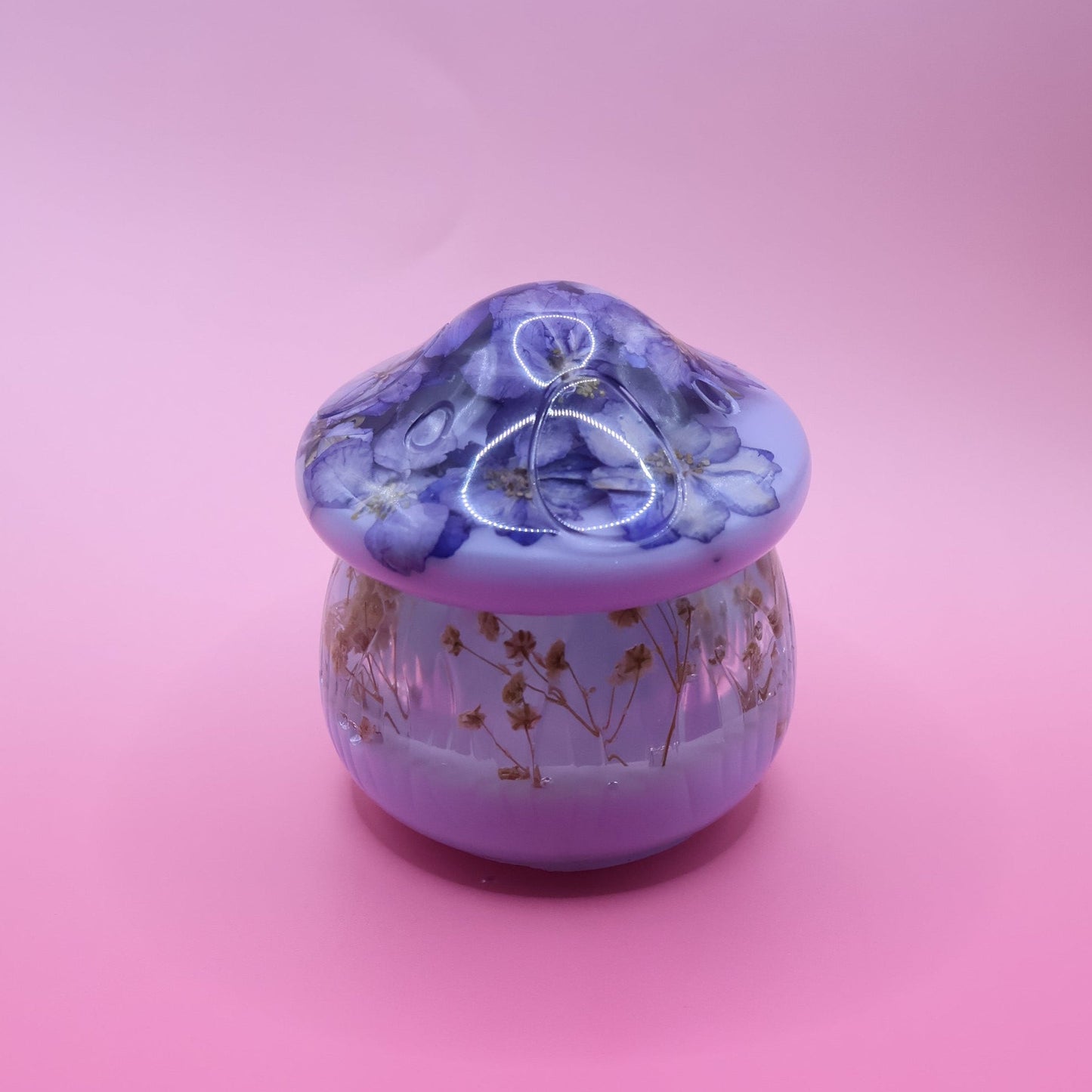 Mushroom  Multipurpose