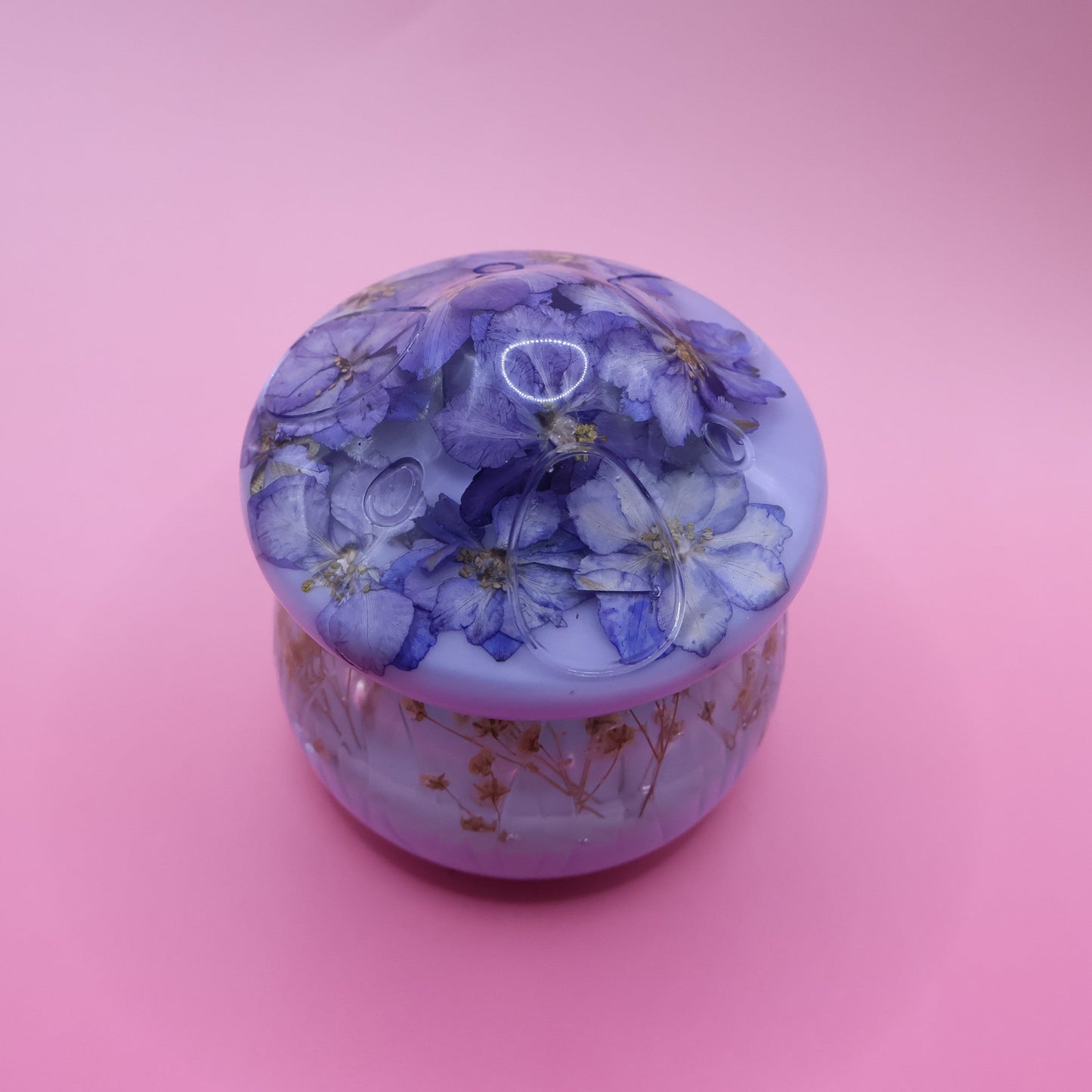 Mushroom  Multipurpose