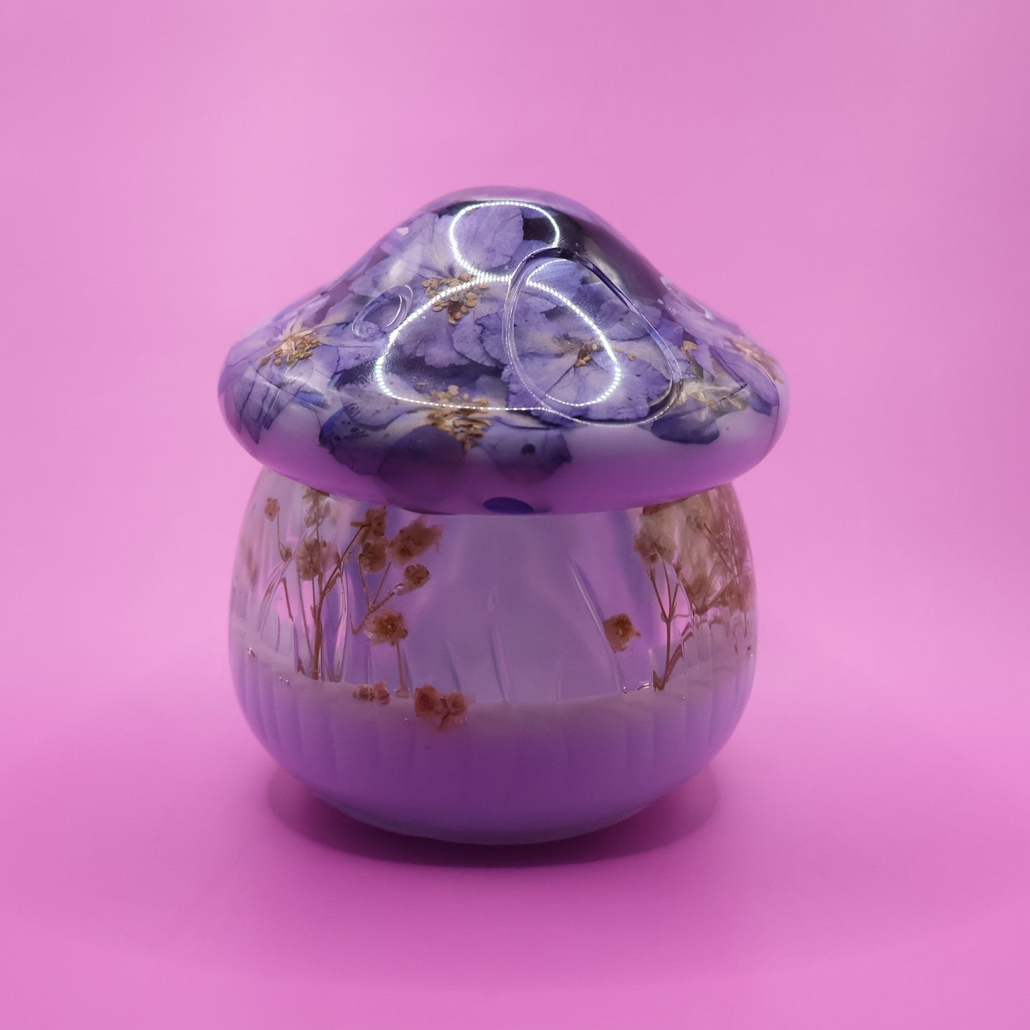 Mushroom  Multipurpose