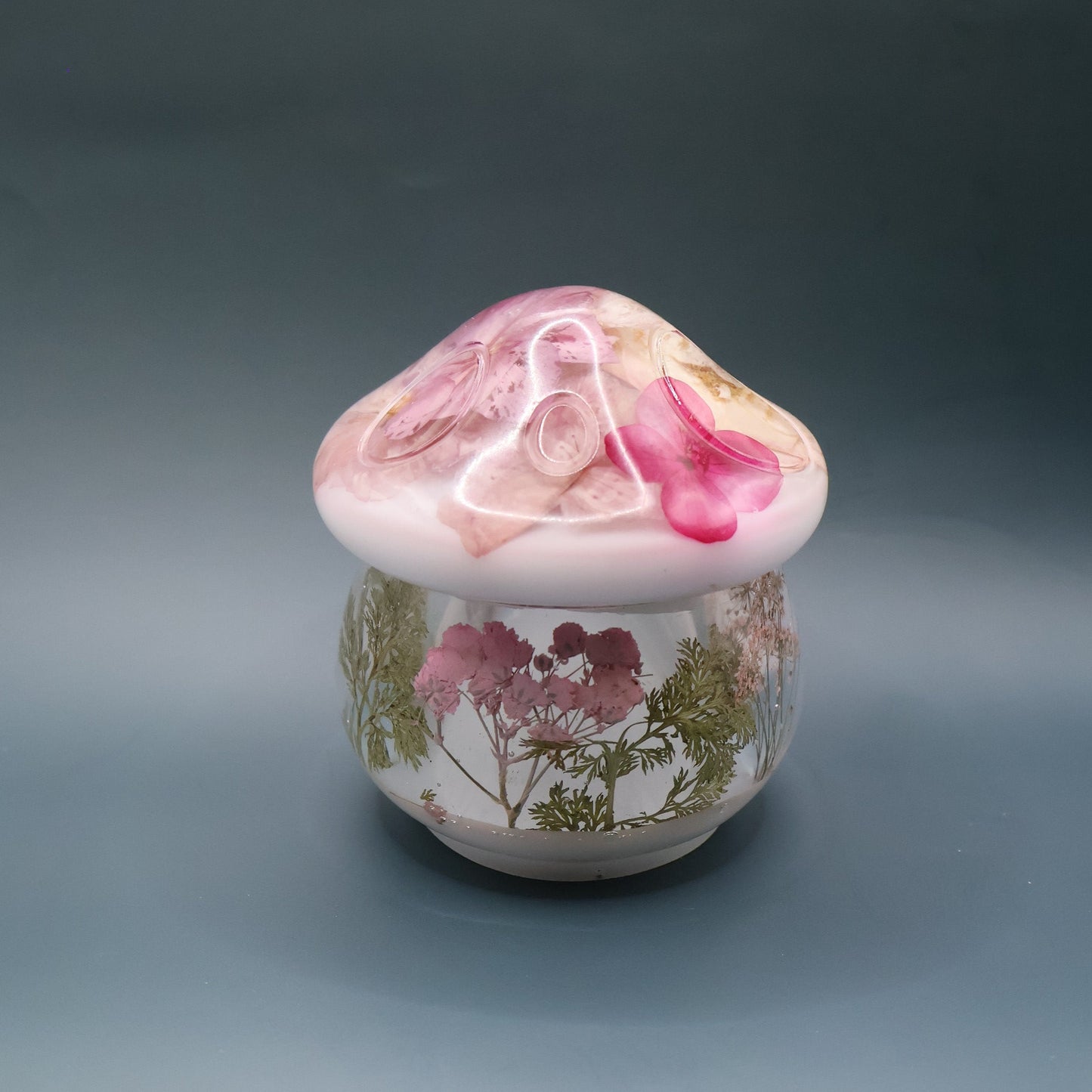 Mushroom Mulrtipurpose