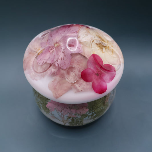 Mushroom Mulrtipurpose