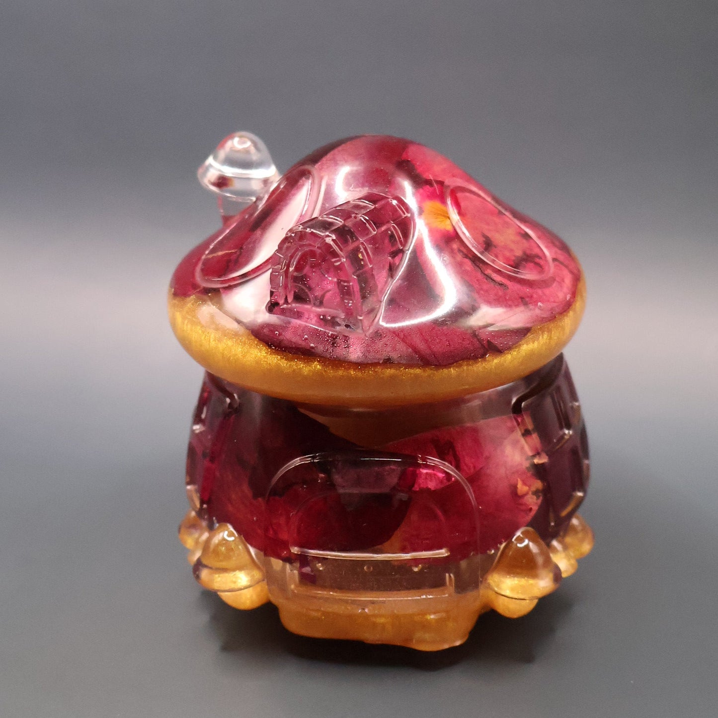 Multipurpose Mushroom