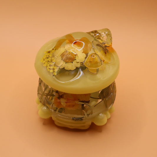 Multipurpose Mushroom
