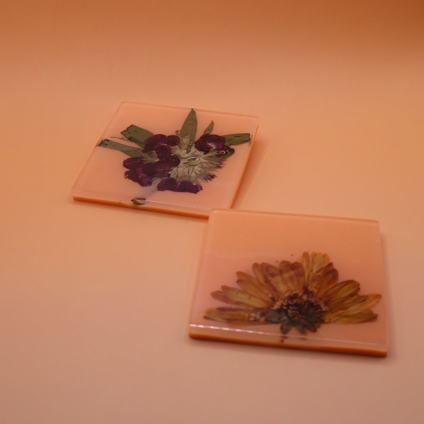 coasters