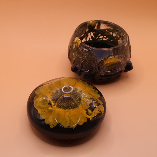 Multipuporse Mushroom