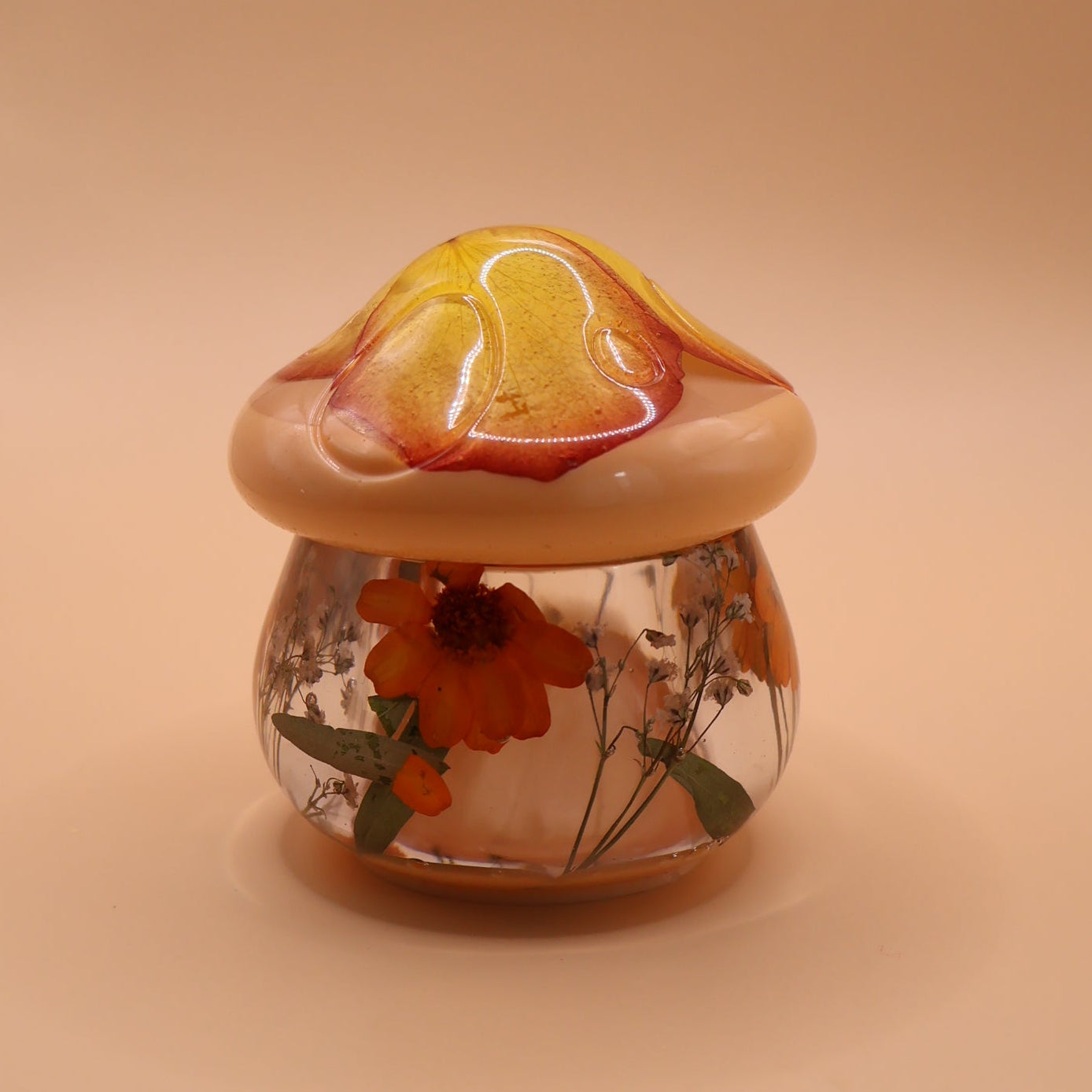 Multipurpose Mushroom