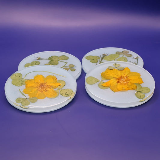 Coasters