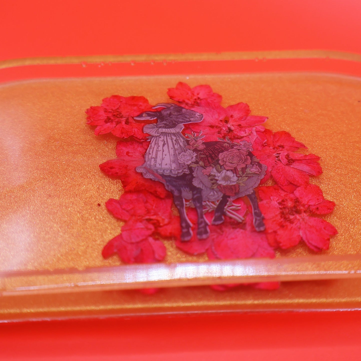Little Tray