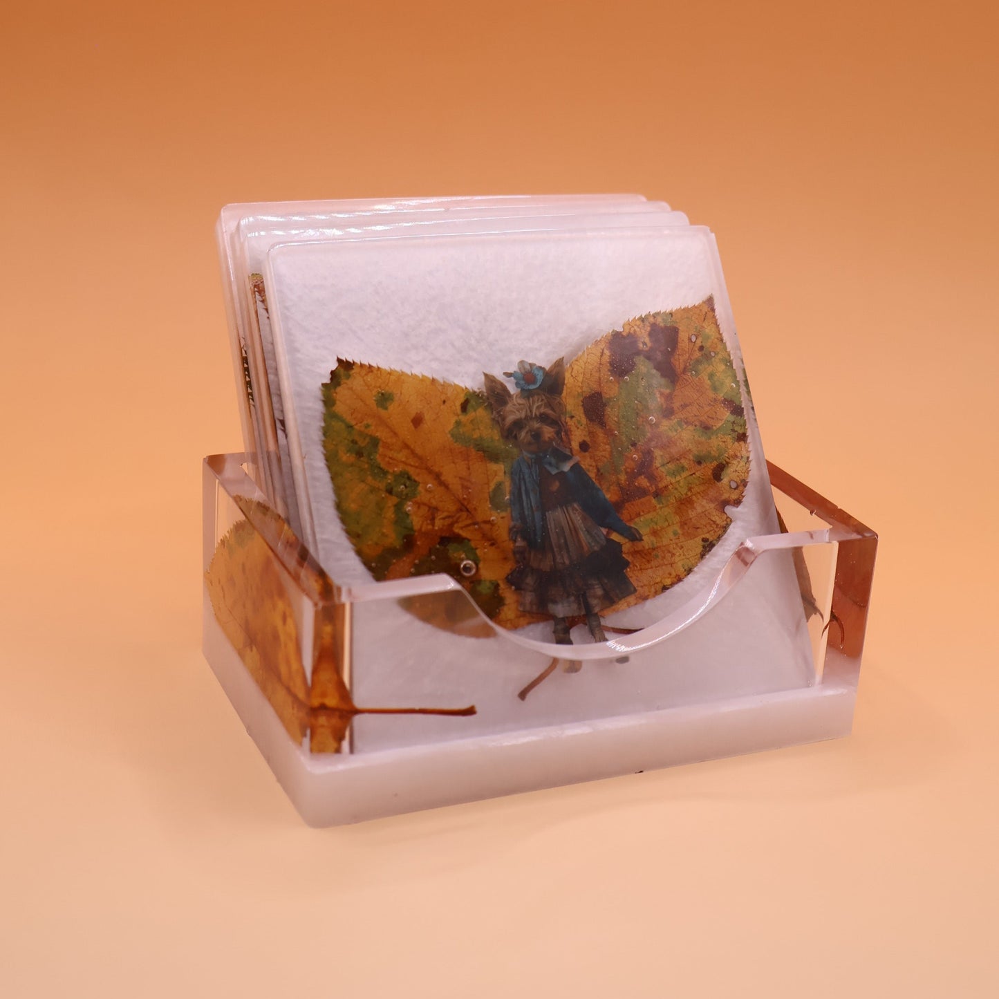 coasters