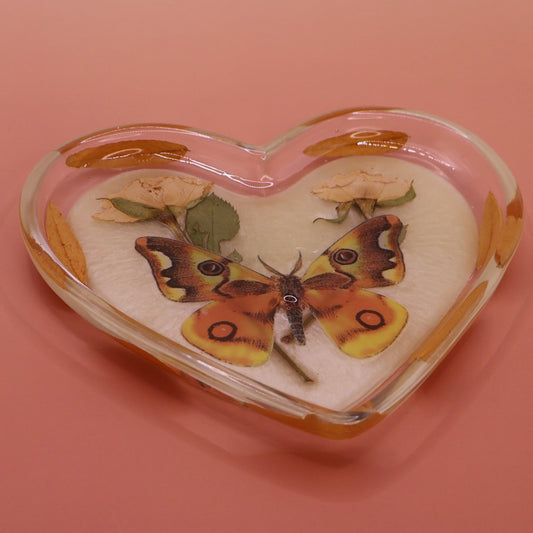 Little tray