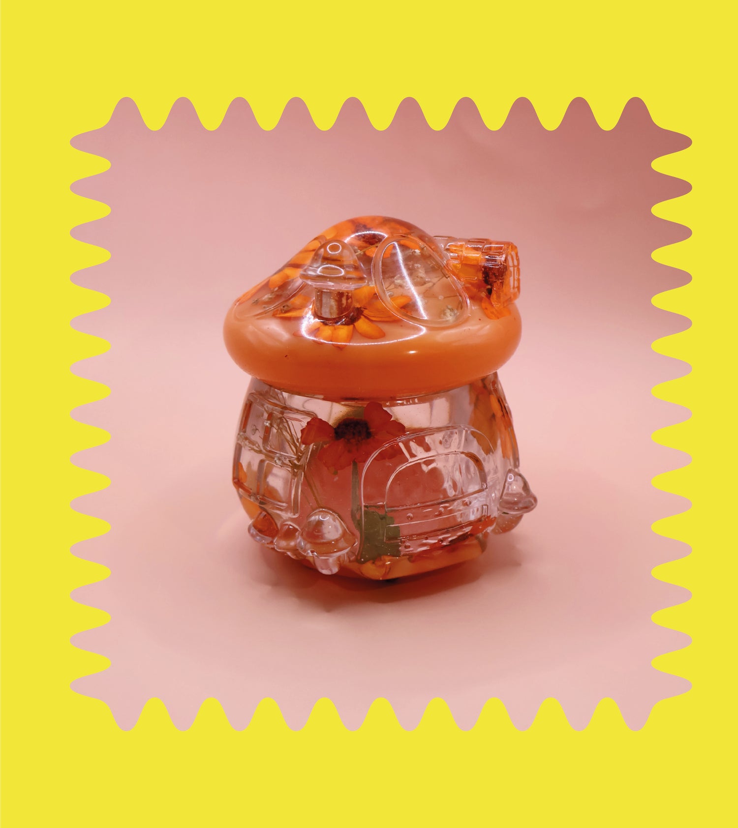 Multipurpose Mushroom