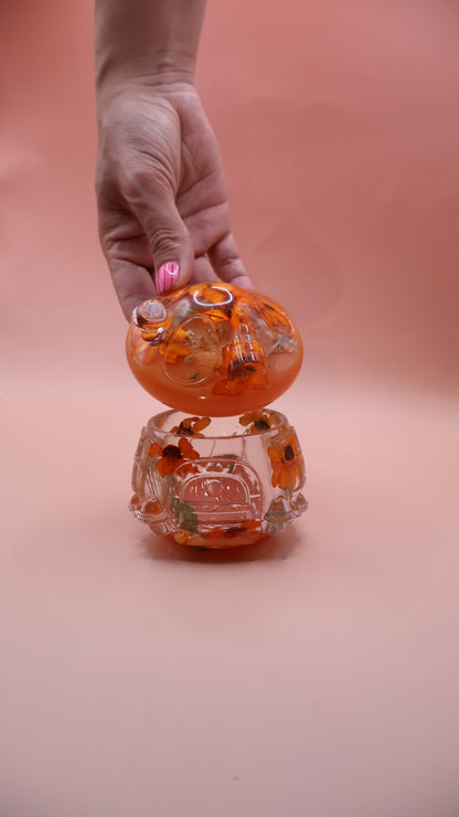 Multipurpose Mushroom