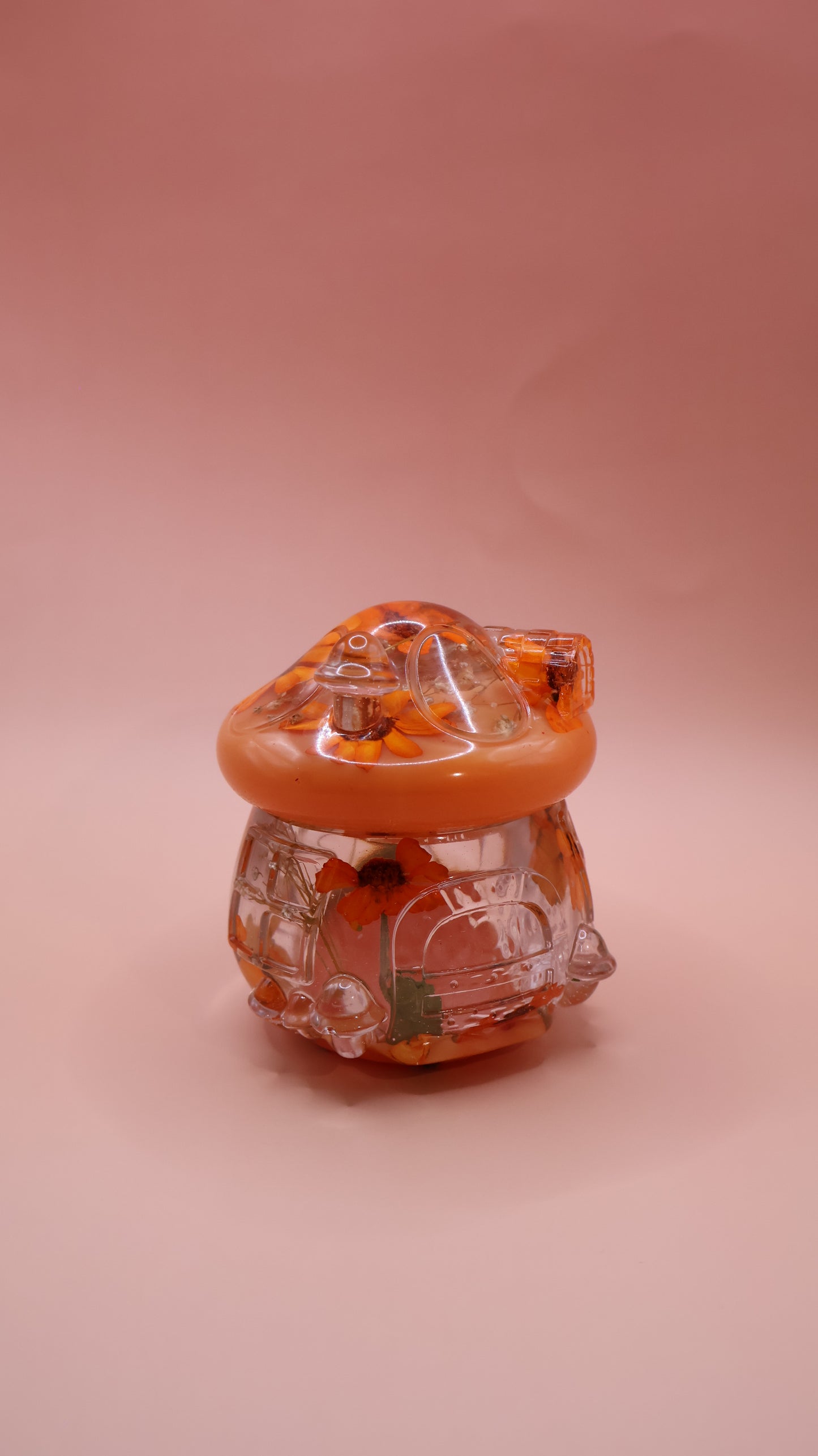 Multipurpose Mushroom