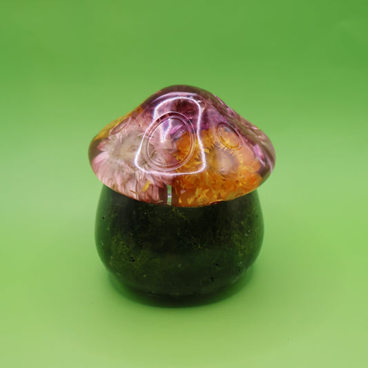 Multipurpose Mushroom