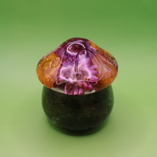 Multipurpose Mushroom