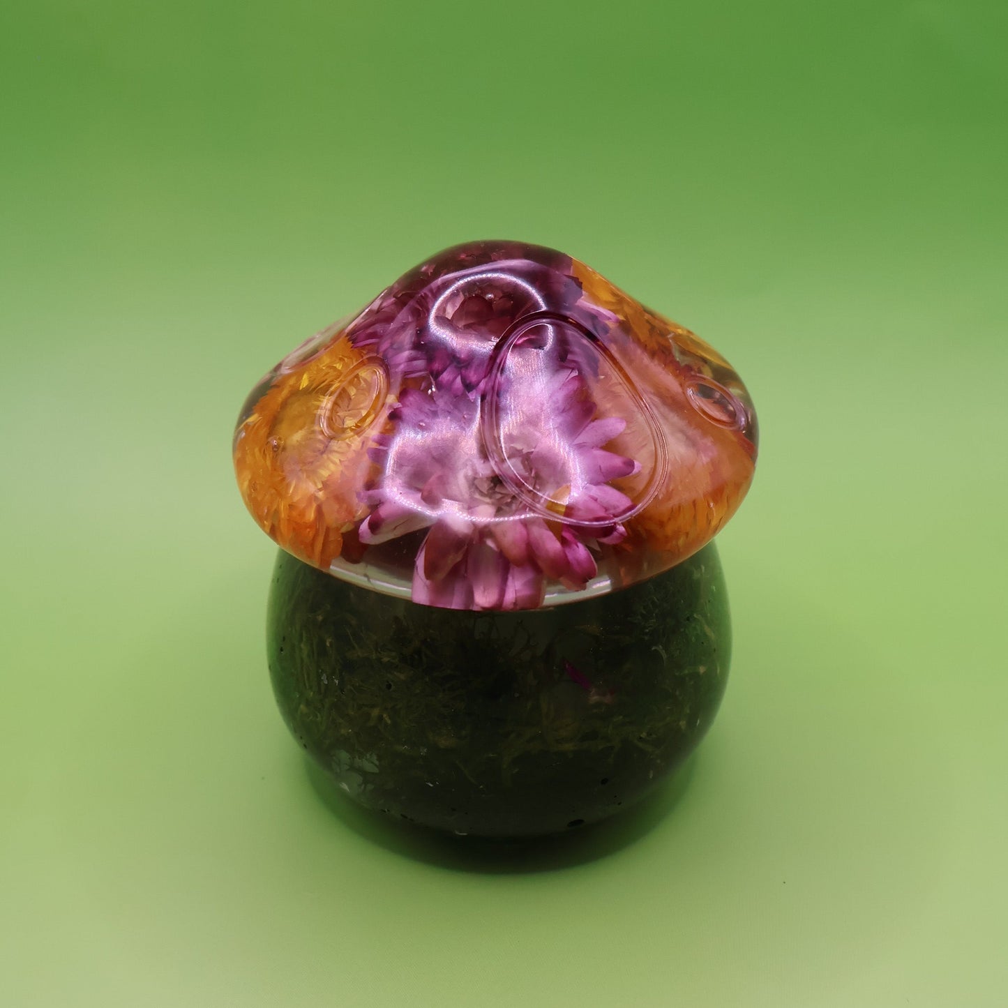 Multipurpose Mushroom