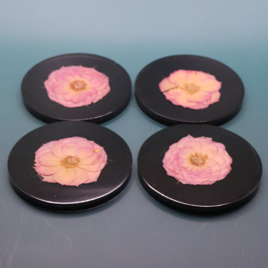 Coaster