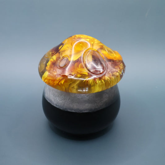 Multipurpose Mushroom