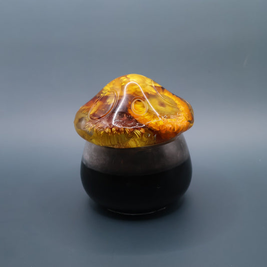 Multipurpose Mushroom