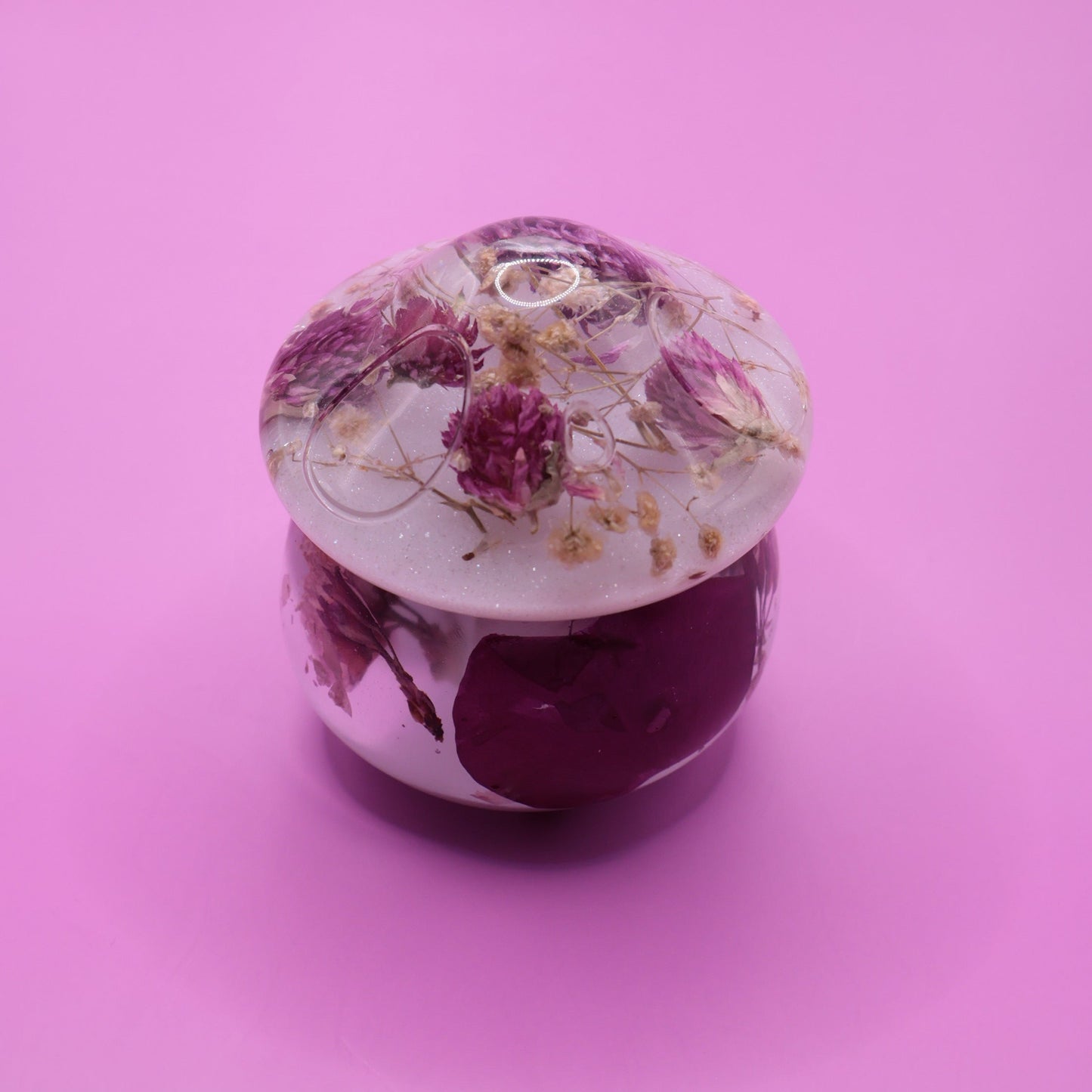 Multipurpose Mushroom