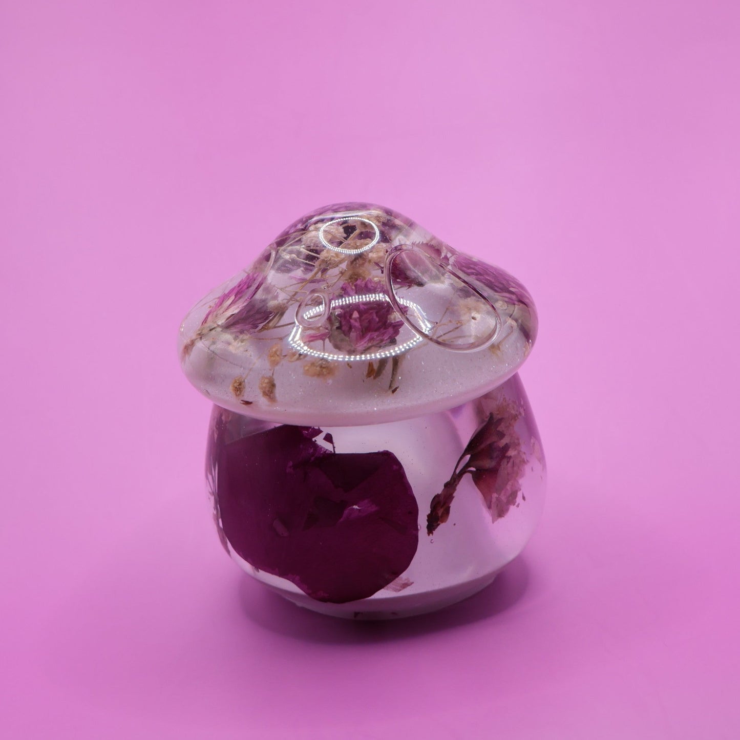 Multipurpose Mushroom