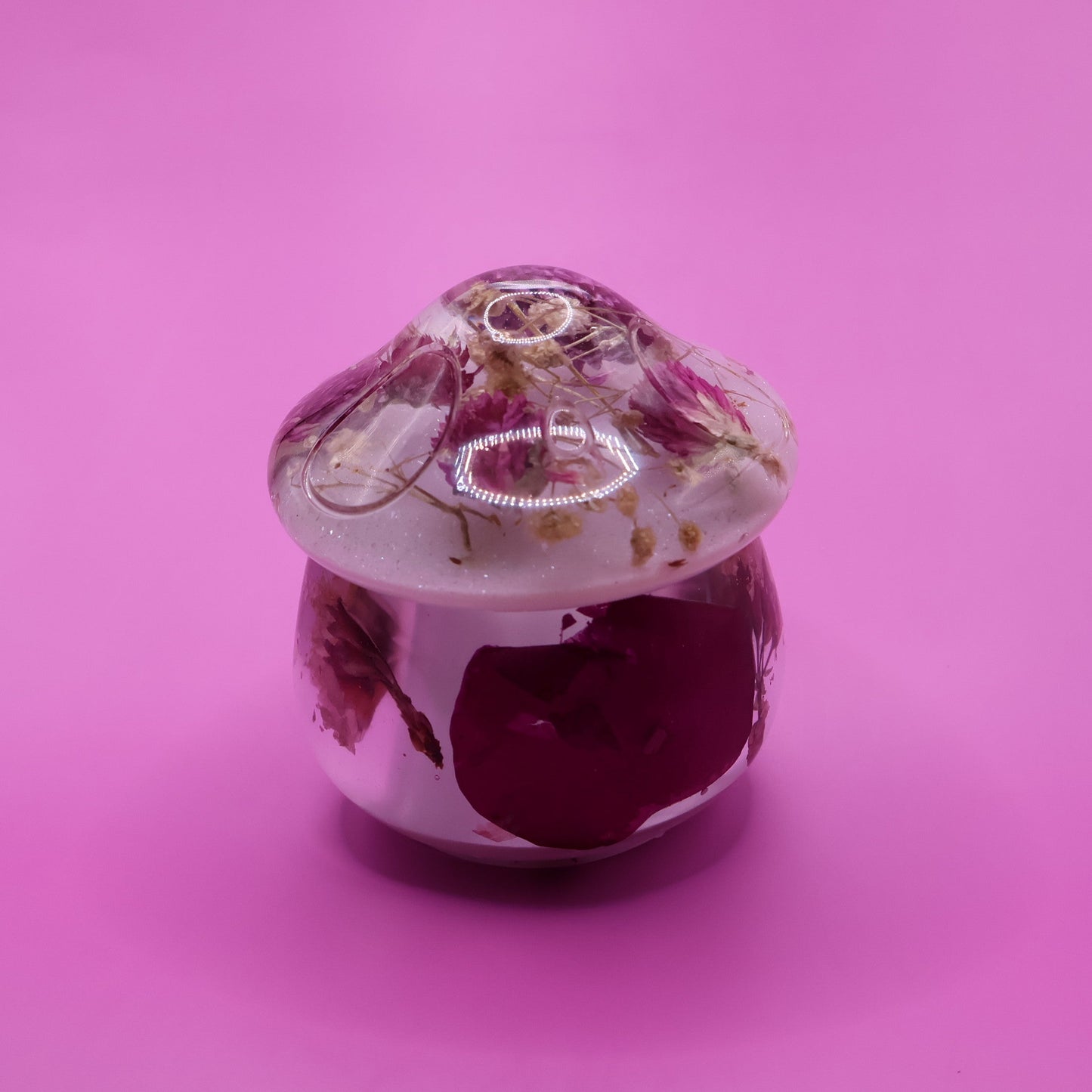 Multipurpose Mushroom