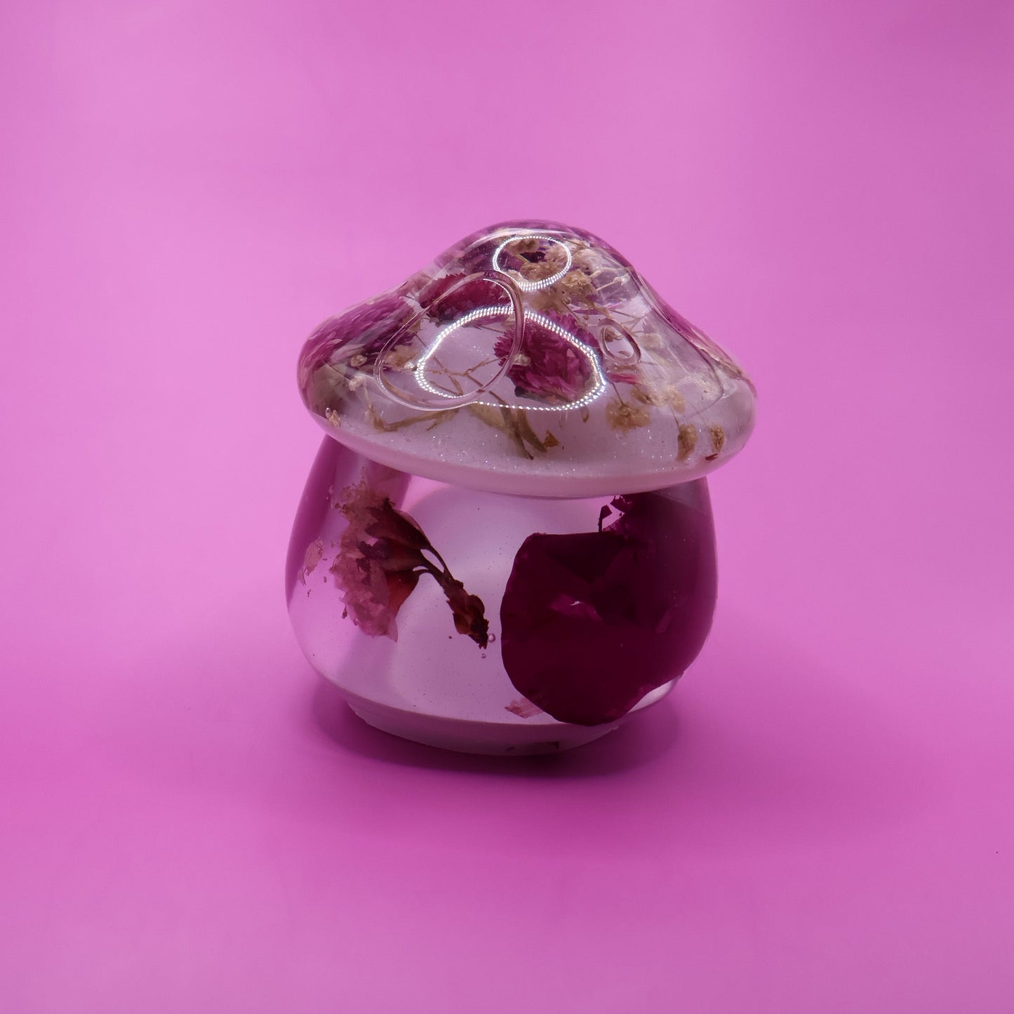 Multipurpose Mushroom