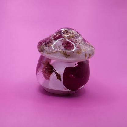 Multipurpose Mushroom