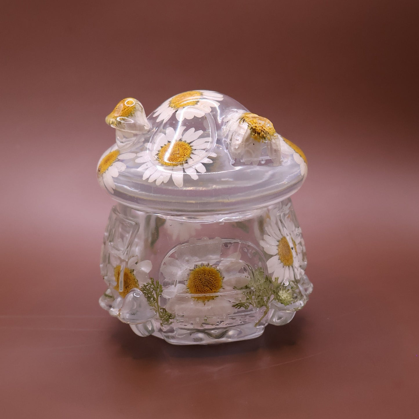 Multipurpose Mushroom