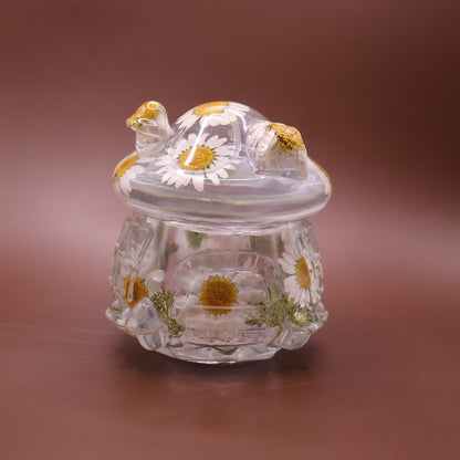 Multipurpose Mushroom