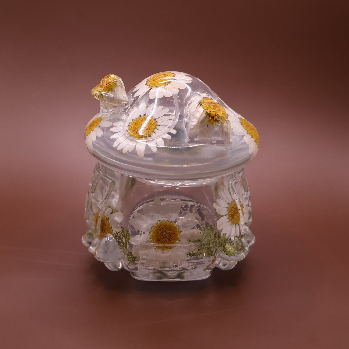 Multipurpose Mushroom