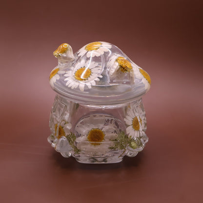 Multipurpose Mushroom