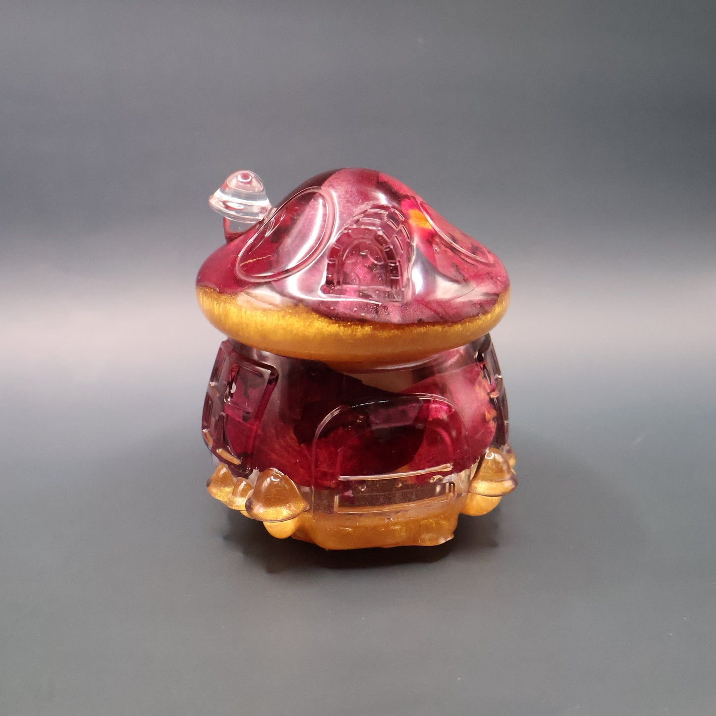 Multipurpose Mushroom