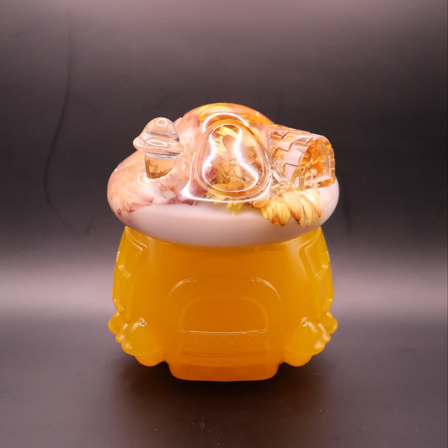 Multipurpose Mushroom