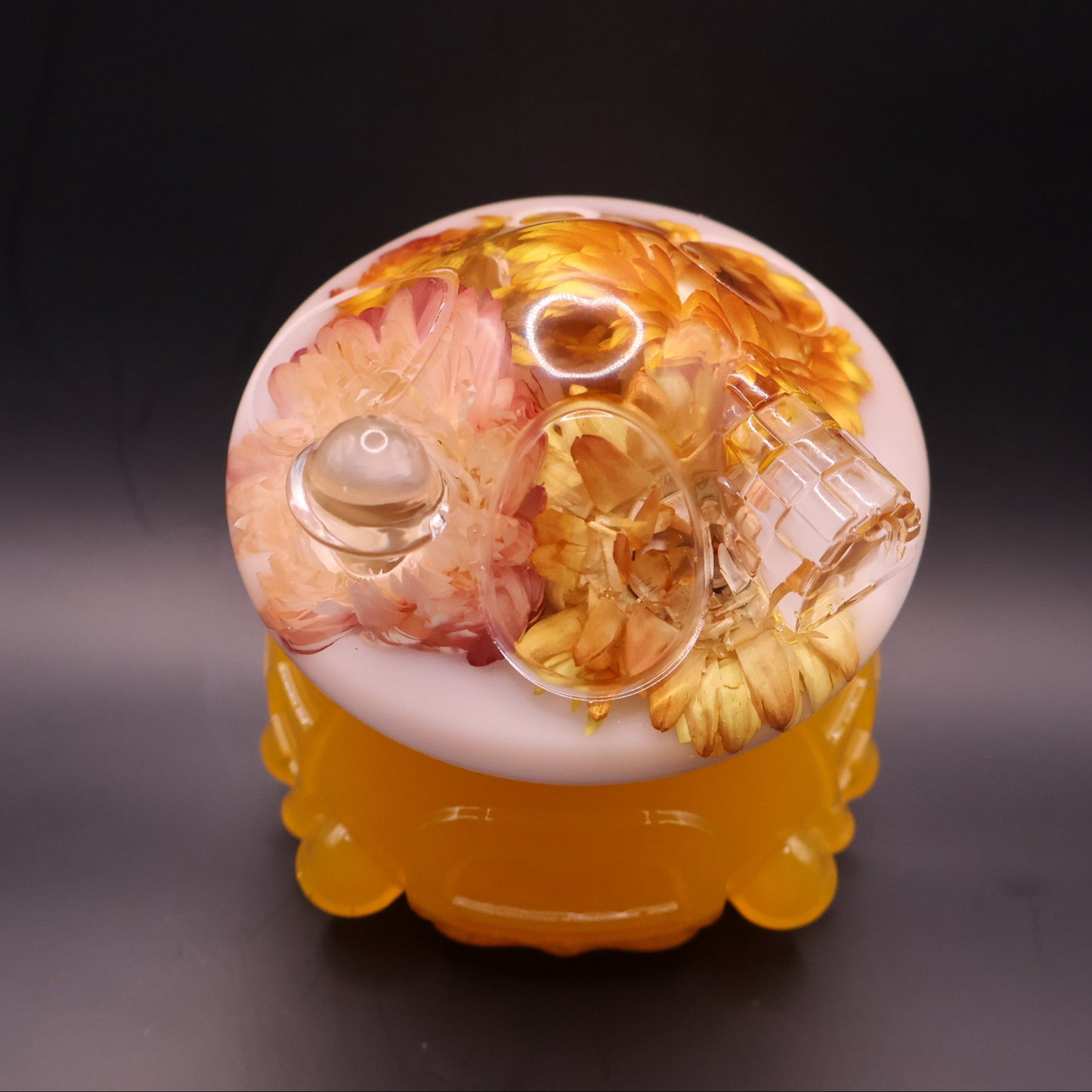 Multipurpose Mushroom