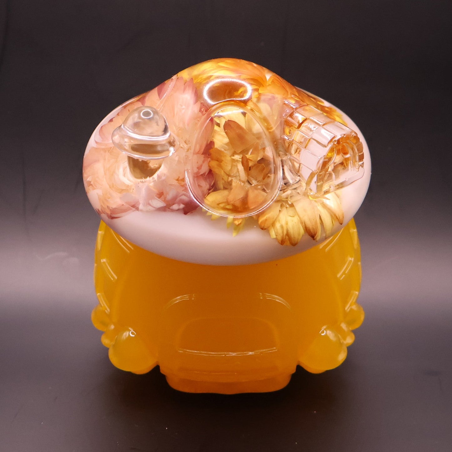 Multipurpose Mushroom