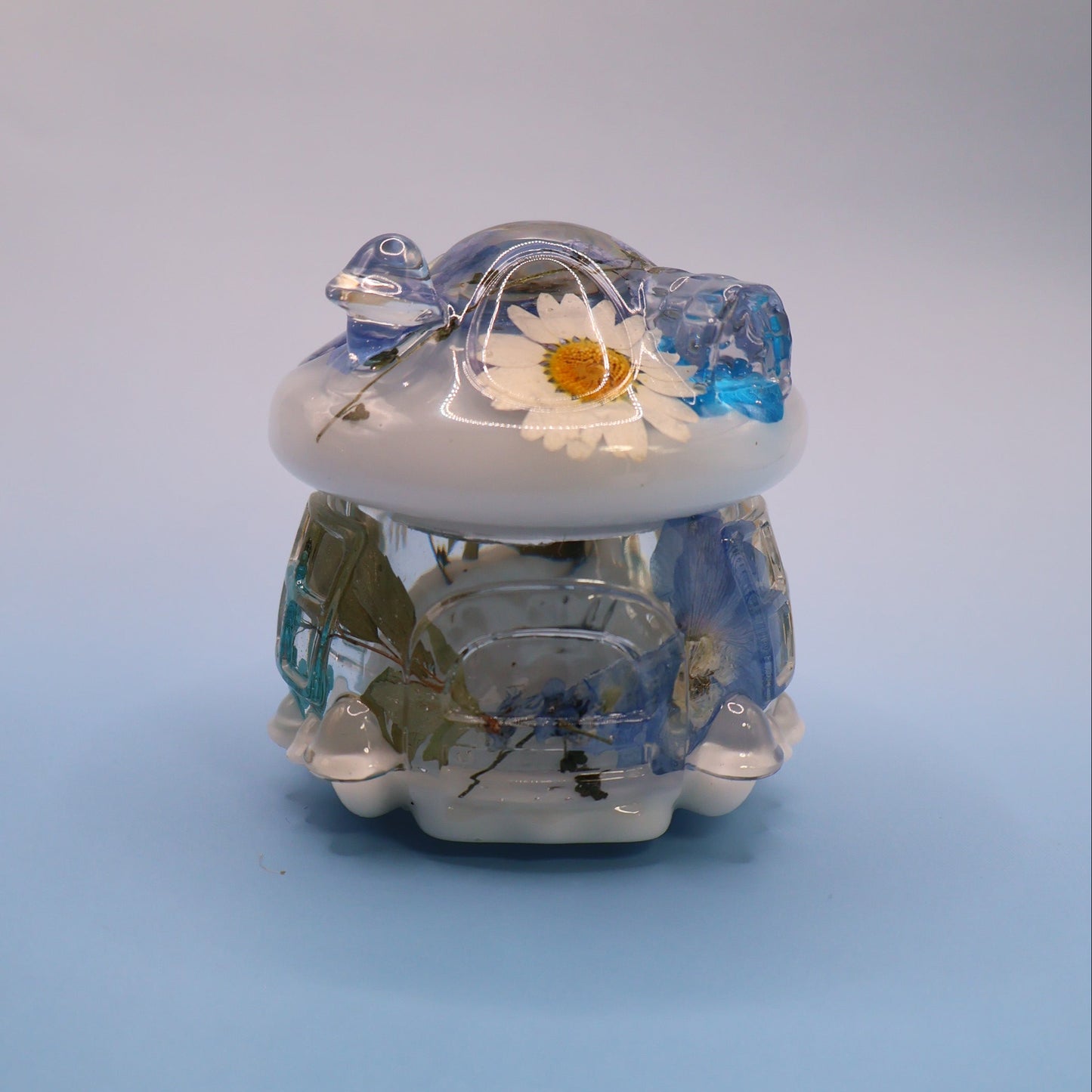 Multipurpose Mushroom