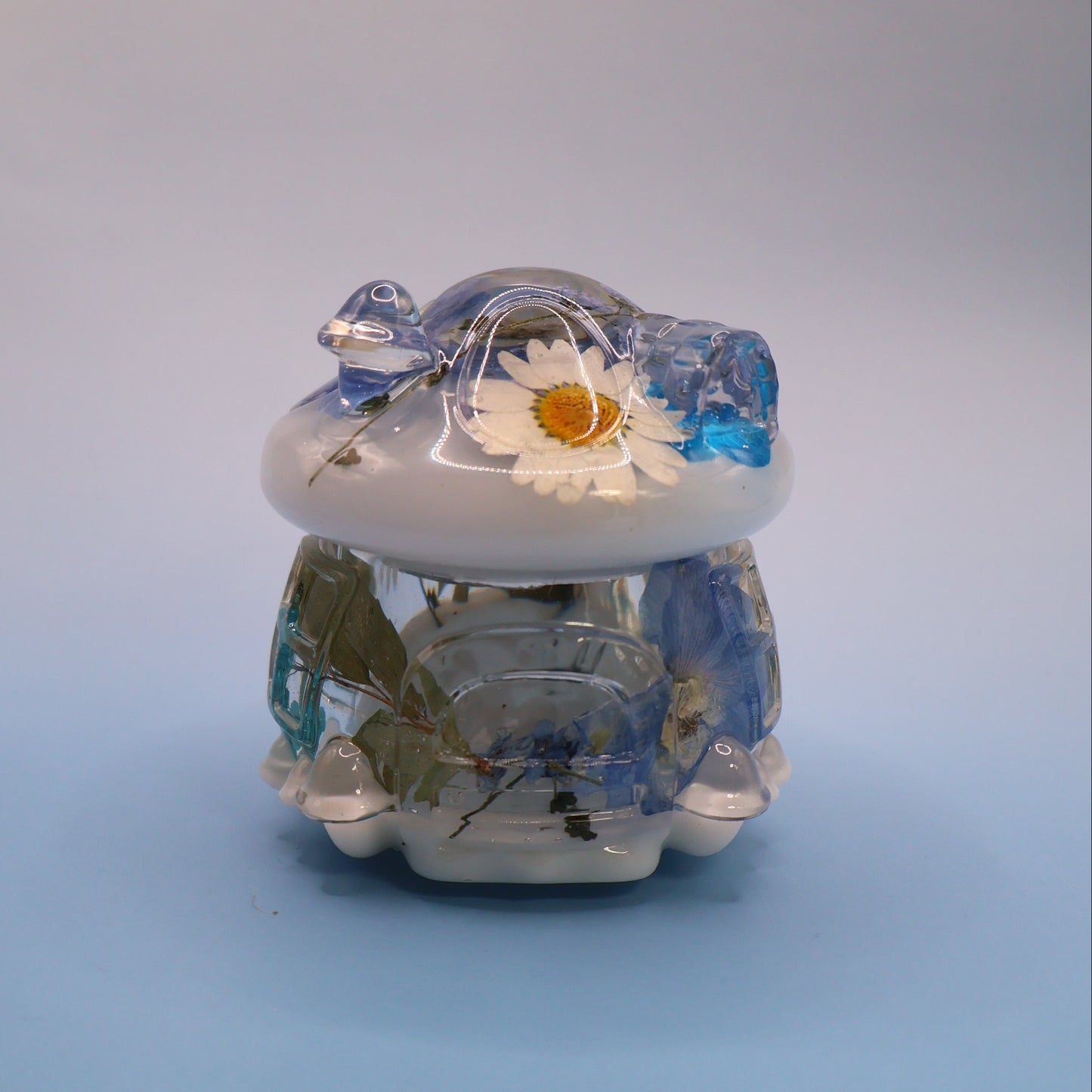 Multipurpose Mushroom