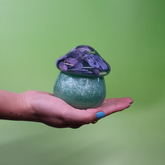Magic Mushroom