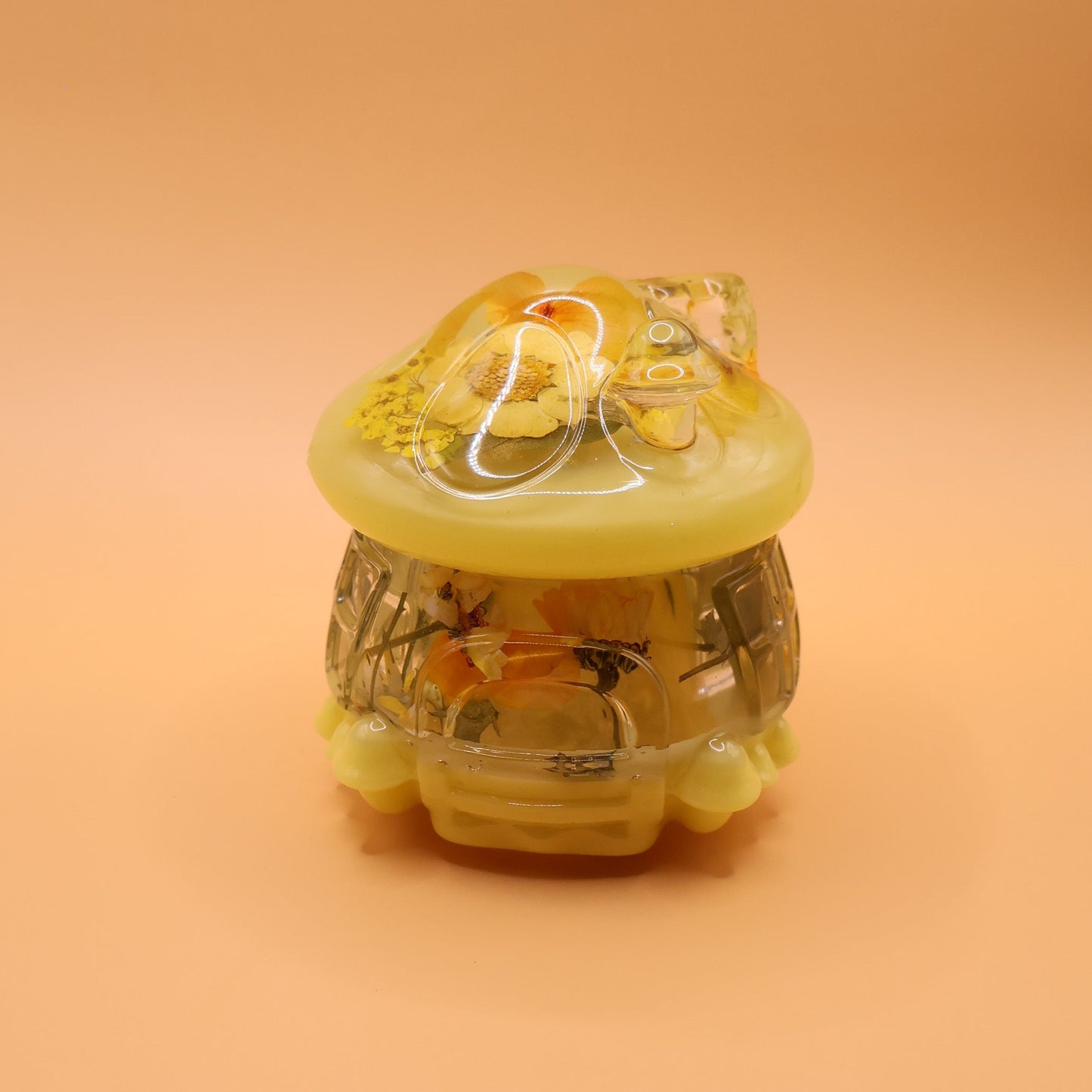 Multipurpose Mushroom