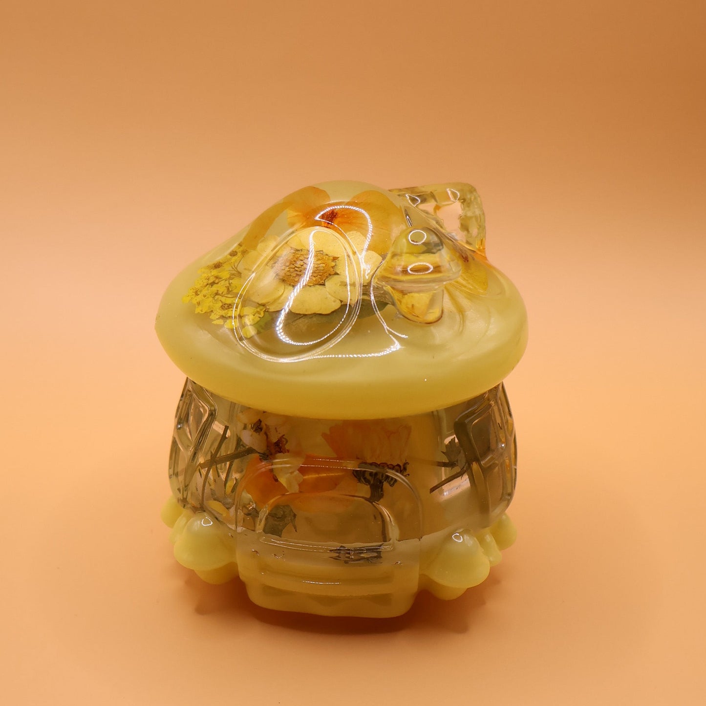 Multipurpose Mushroom