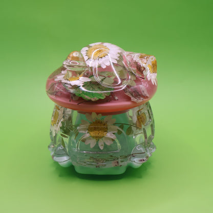 Multipurpose Mushroom