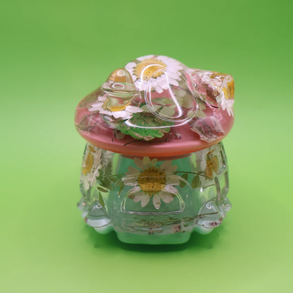 Multipurpose Mushroom