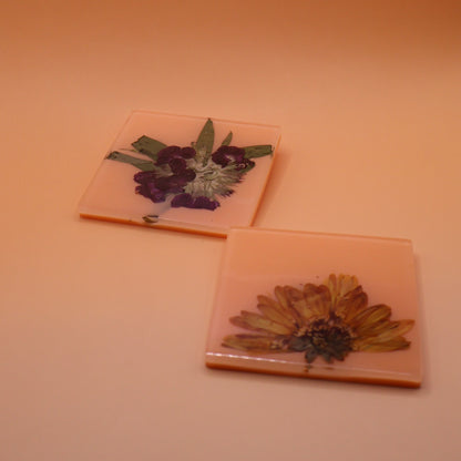 coasters