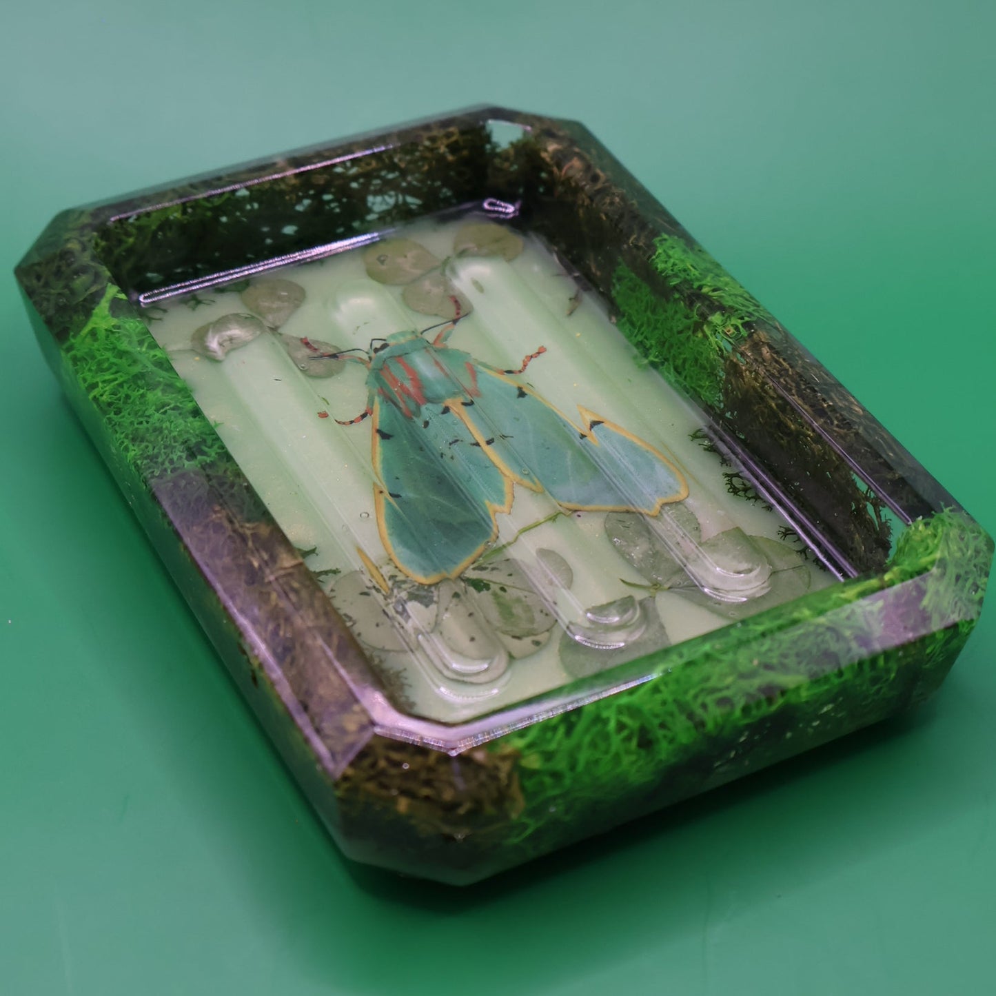 Soap tray