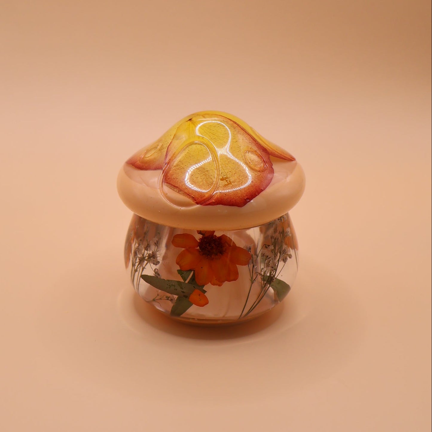Multipurpose Mushroom