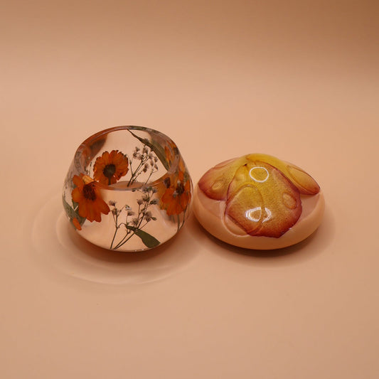 Multipurpose Mushroom