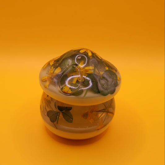 Mushromm multiporpose